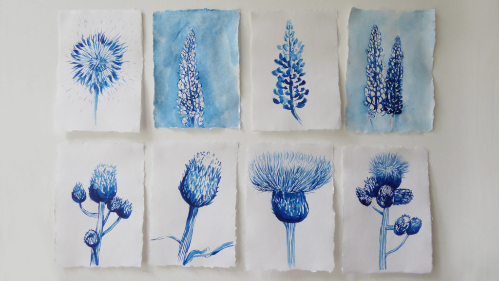 Image of Nerine Martini's Blue Drawings