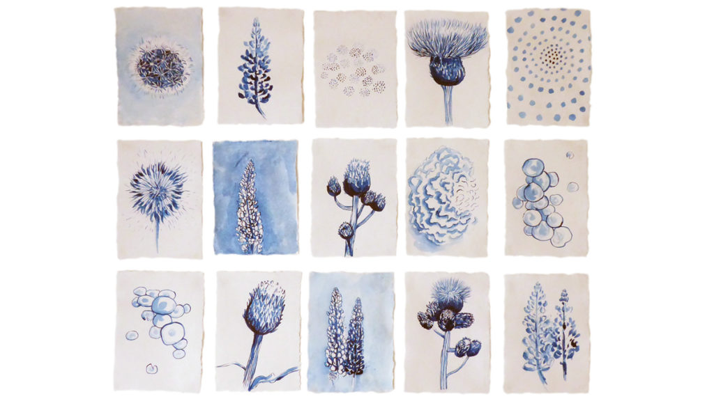 Image of Nerine Martini's Blue Drawings series
